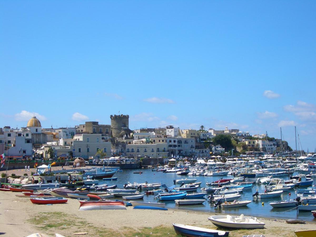 Casa Romano, Centro Di Forio, Ischia Forio di Ischia Eksteriør bilde